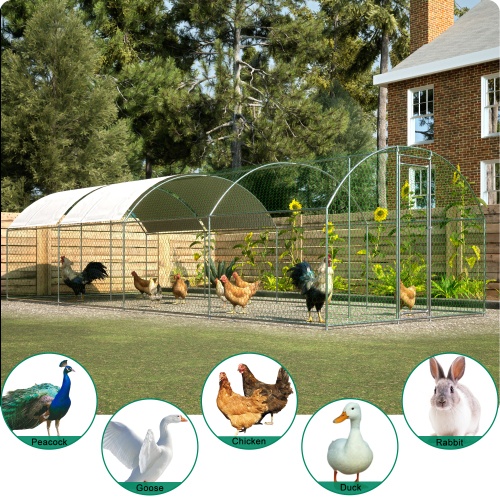 Large Chicken Coop Metal Chicken Track - Image 6